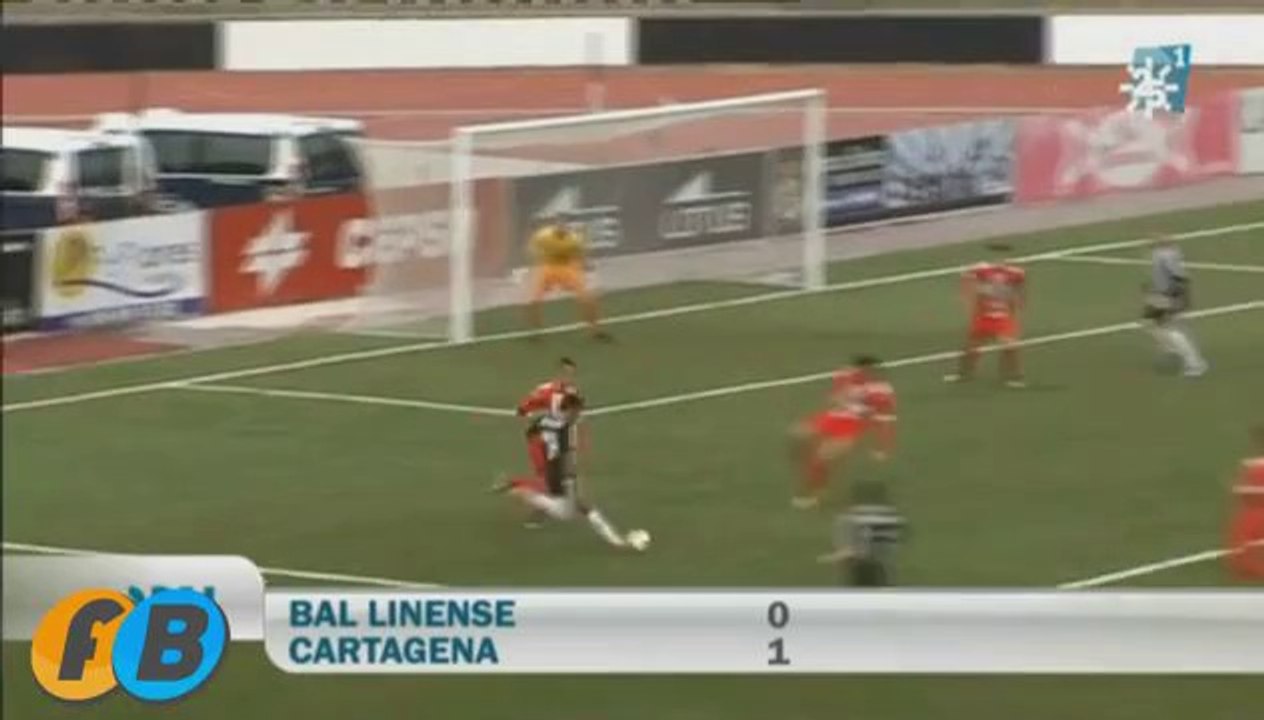 RESUMEN LINENSE . CARTAGENA