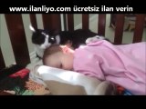 Bebeğin Başını Temizleyen Kedi..