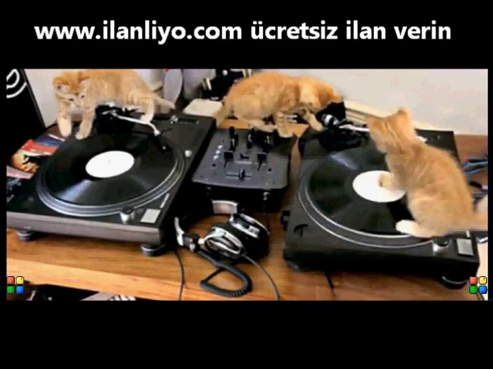 DJ Kediler