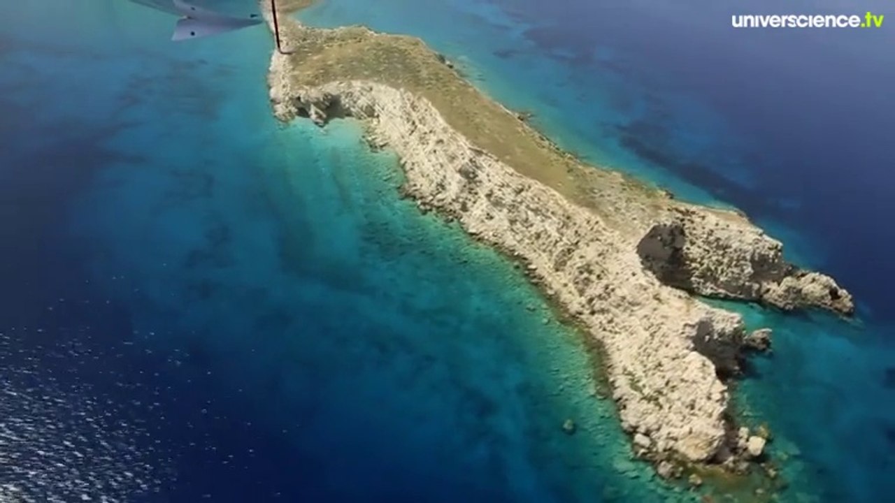 Sur les traces de la Posidonie