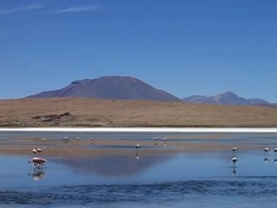 MVI_3413