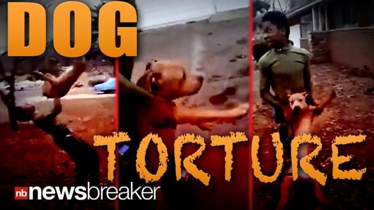DOG TORTURE: Two Teens Arrested After Facebook Video Shows Them Abusing a Puppy