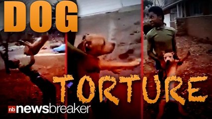 DOG TORTURE: Two Teens Arrested After Facebook Video Shows Them Abusing a Puppy