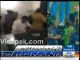 Lala to lala....Lala ka fan bhi Lala (Watch Celebrations of Shahid Afridi's fan