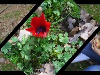 suuçuran şelalesi kısa parkur ( 12 km ) 2014