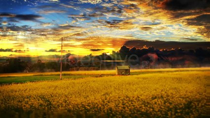 Logo In Nature Bundle