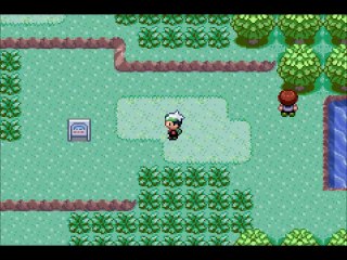 Let's play pokemon Emeraude total random