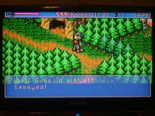 Landstalker -9 Le labytinthe Vert