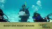 World's Best Diving & Resorts: Buddy Dive Resort Bonaire