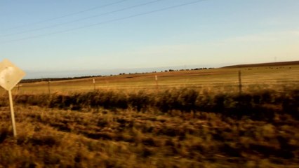 SAVEUR Heartland Issue