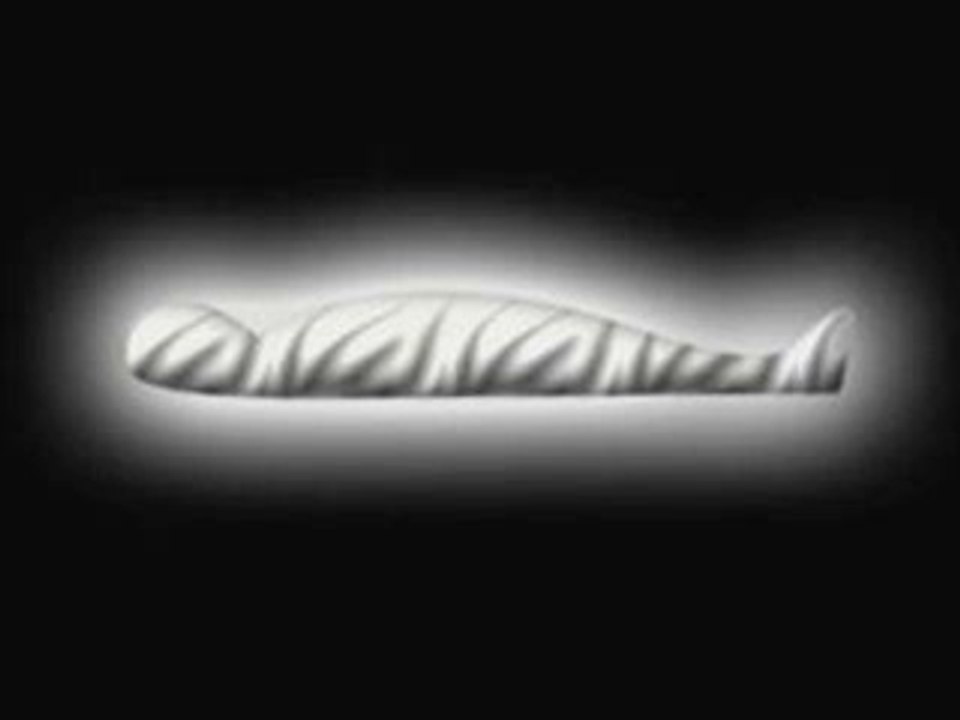 2 La vie après la Mort ( pt 2 ) Islam