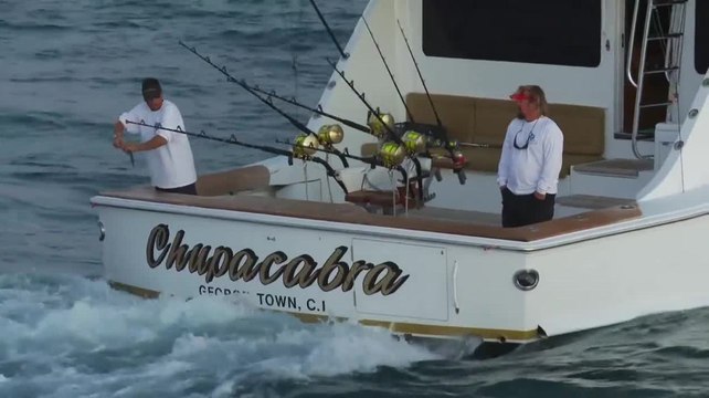 2012 Los Cabos Billfish Tournament