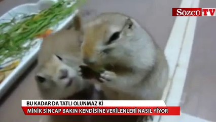 Bu kadar da tatlı olunmaz ki