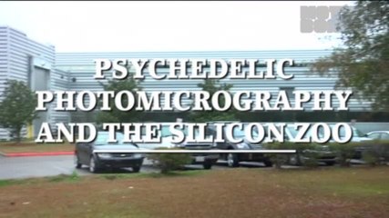 Motherboard: The Silicon Zoo (VBS 2011)