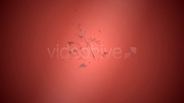 Transforming Text Reveal