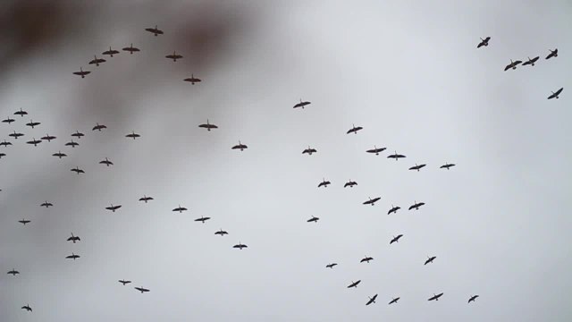 Shooting Tips: How to Shoot Your Lane Like a Pro