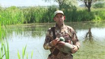 Duck Hunting: Two Run-And-Gun Decoy Sets by Outdoor Life