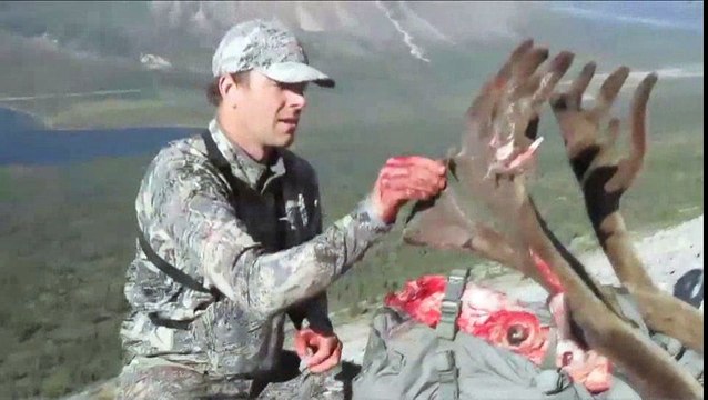 Live Hunt Northwest Territories: Trophy Bull