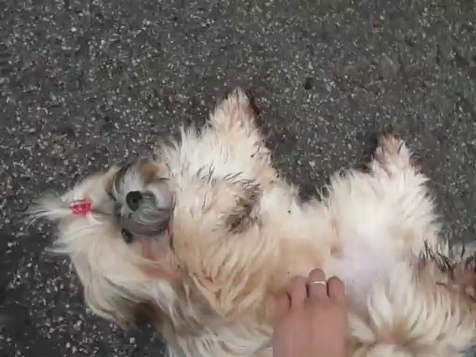 Princesse Inika se fait gratouiller le bidou!