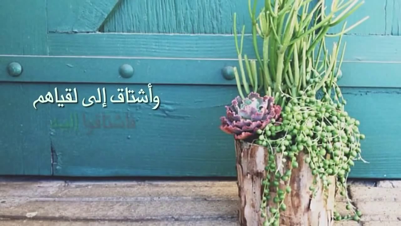 ستفكر كثيراً بعد هذا المقطع مؤثر جداً - الشيخ خالد الراشد