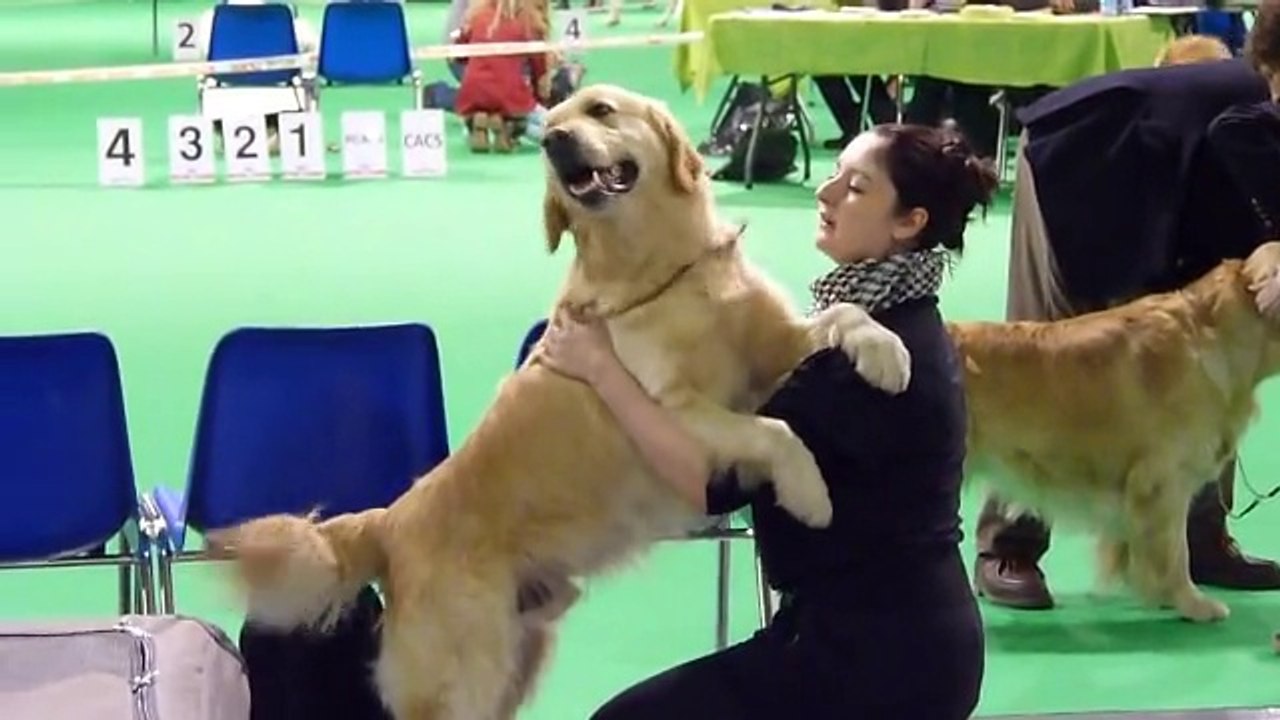 Expo Douai First 2014