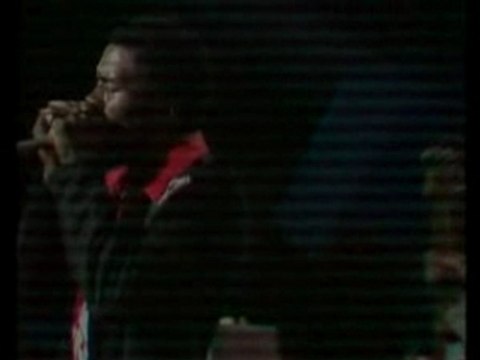 Buddy Guy Junior Wells Hoodoo Man Blues