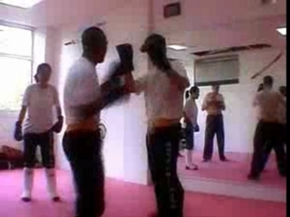 Boxe_chinoise_2006