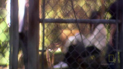 national.geographic.inside.chinatown.mafia.hdtv.