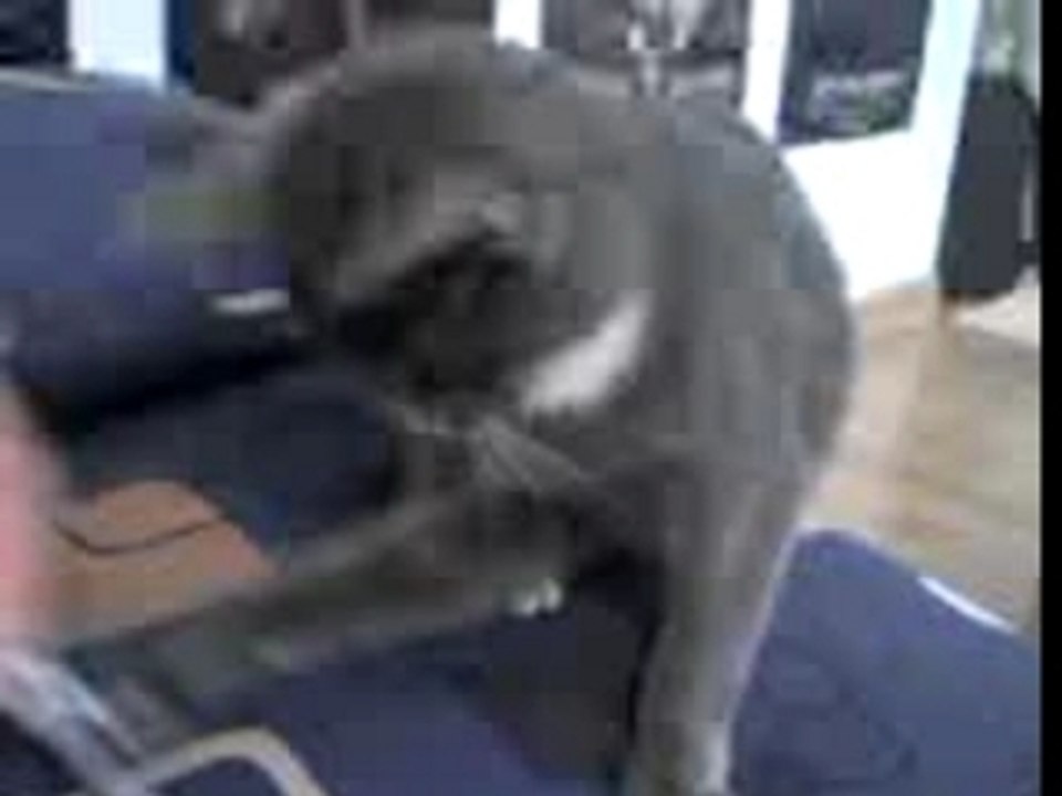 Vidéo 0053