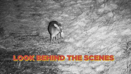 Bulimia: The Musical, Behind The Scenes