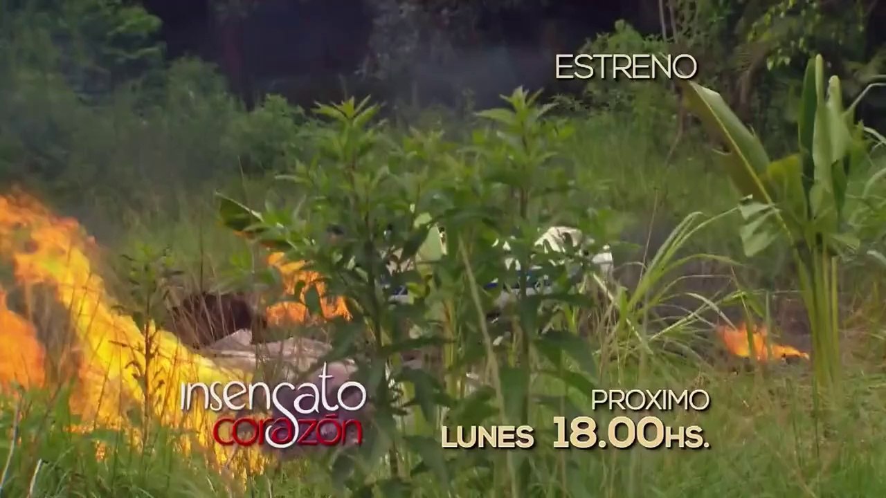 Promo: Insensato corazon Telefe HD