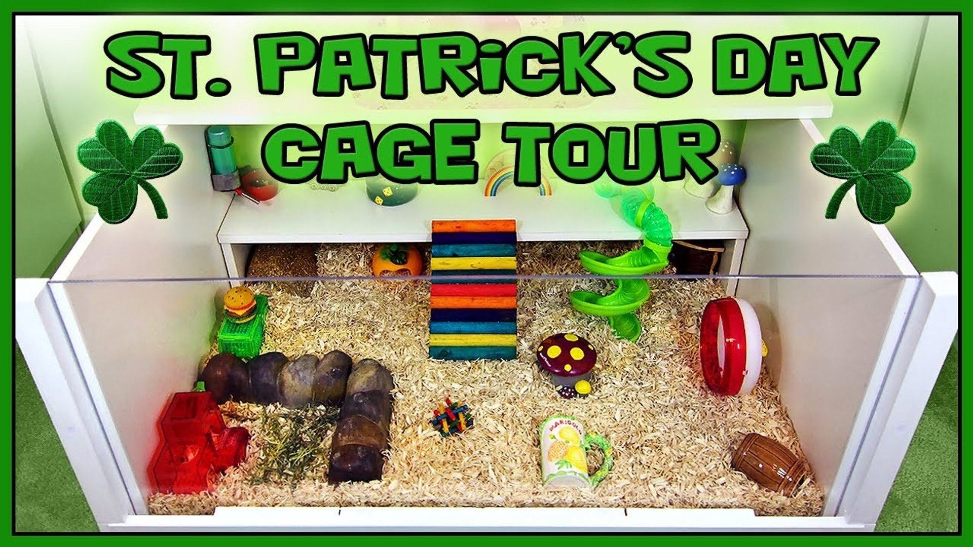 ⁣Streudel's St Patrick's Day Cage Tour - 2014