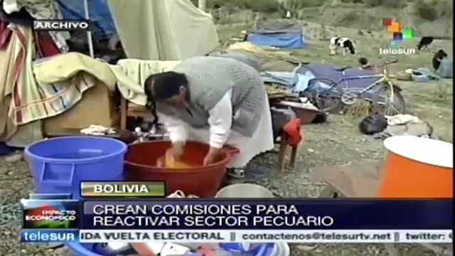 Crean comisiones para reactivar sector pecuario en Bolivia