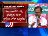 TRS will emerge as a strong Telangana party - KCR