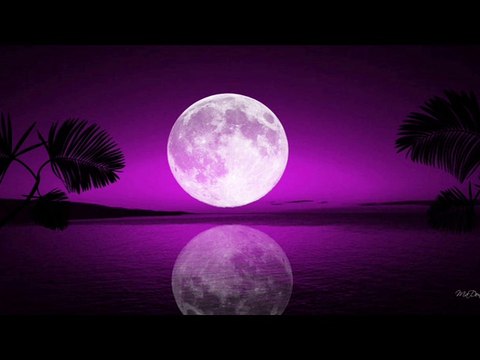 Strange Interlude-Ruby Newman Orchestra