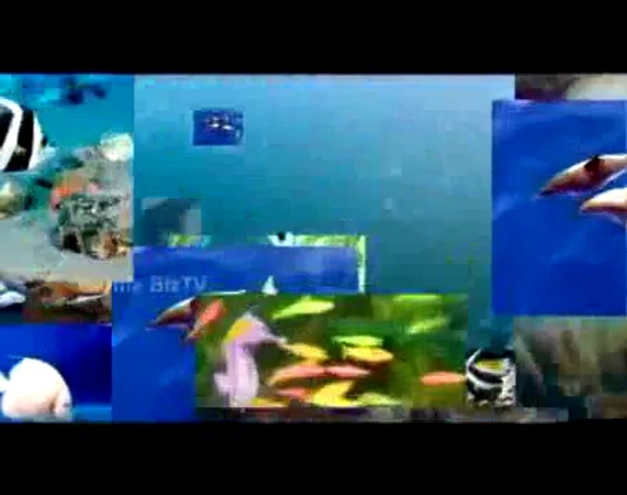 Bkxd chuyên chống thấm nhà tại quận 10 **0866825685*