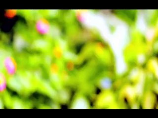 Khola Janala by Tahsin Ahmed