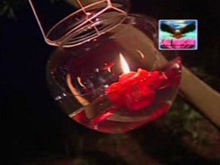 Kiep Ve Sau - Tu quyen