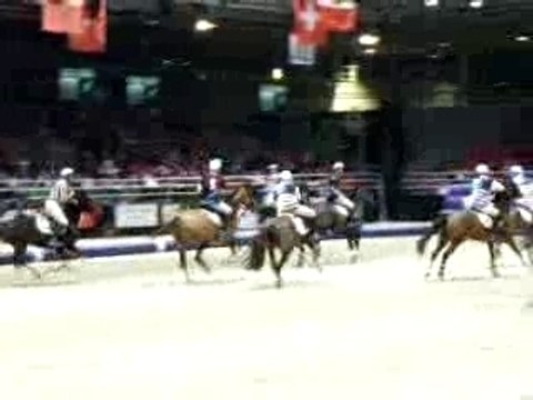 Horse ball salon du cheval