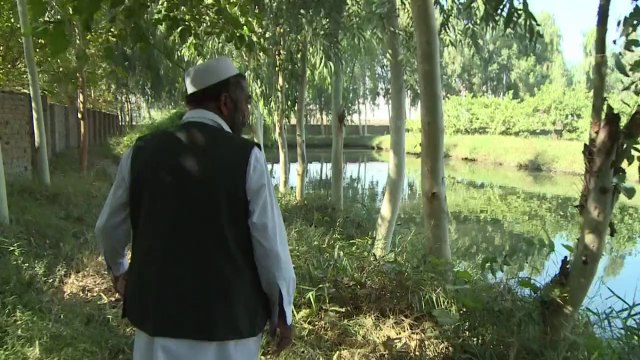 Les Afghans découvrent le poisson