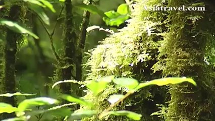 Doi Inthanon Mountain, Thailand by Asiatravel.com