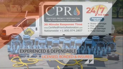 Water Removal Plantation | Certified Priority Restoration | Water Removal Service