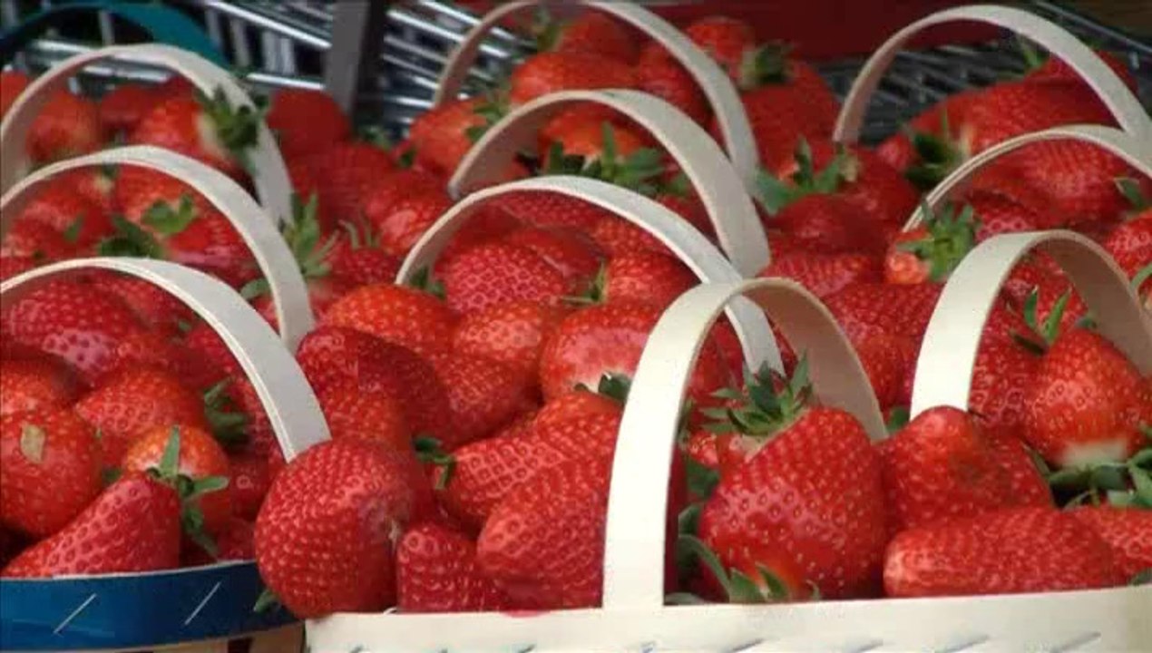 Fête de la fraise - Quelle innovation pour la fraise de Carpentras ?