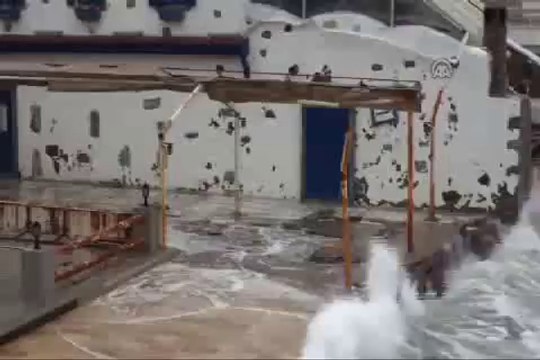 Bodrum'da şiddetli rüzgar