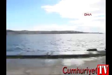 Boğaz'da yunus şöleni