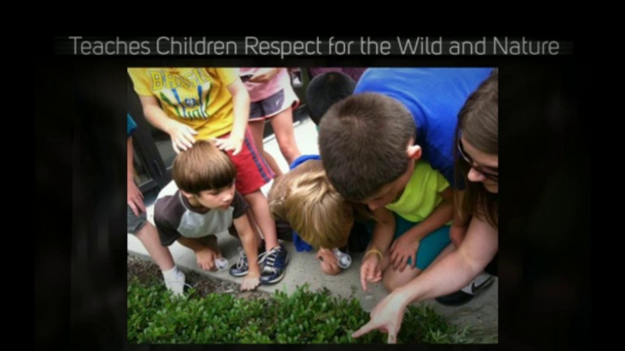 The Values and Benefits of Outdoor Education