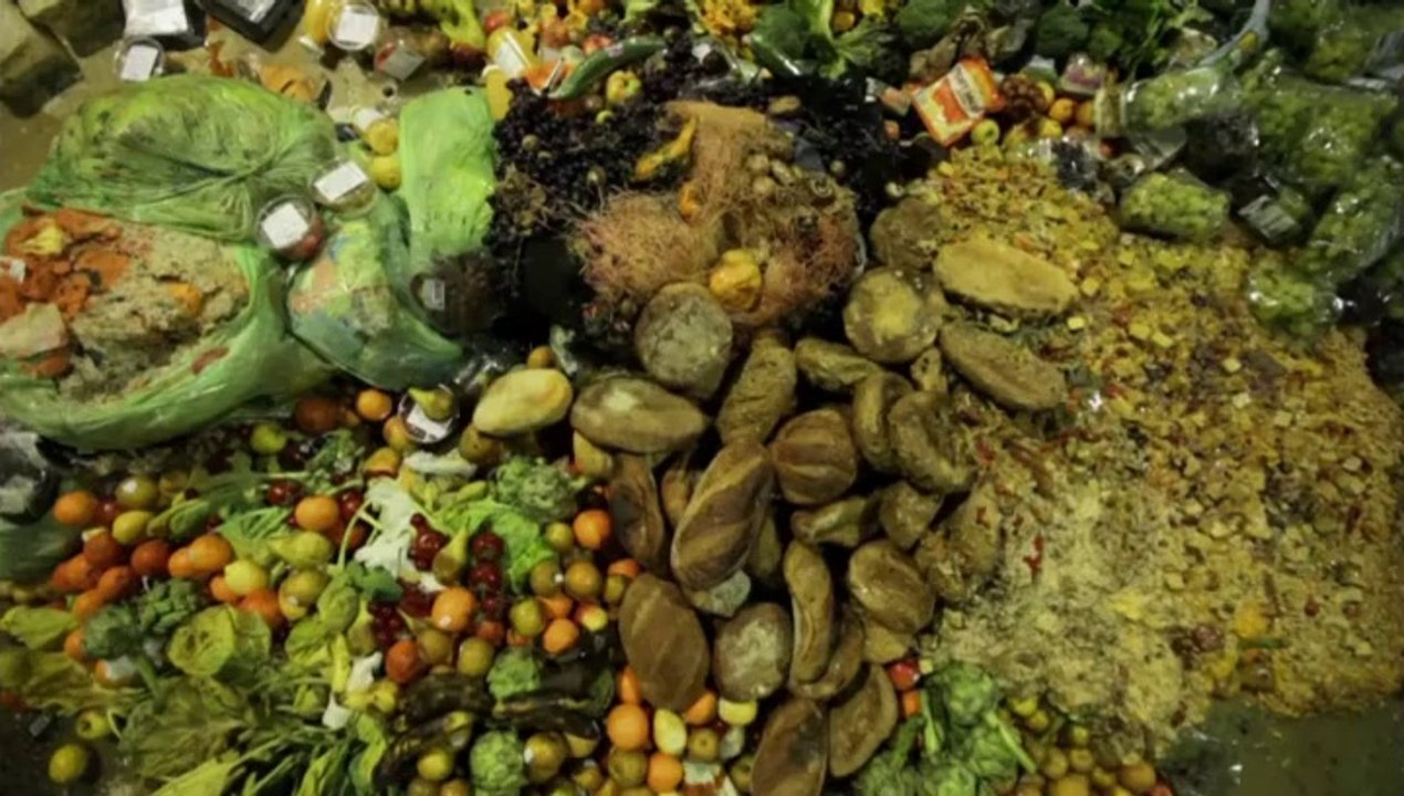 Global gachis - Le scandale mondial du gaspillage alimentaire (extrait)