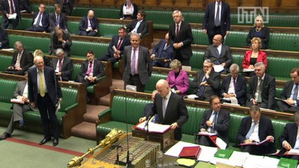 Hague 'commends' Ukraine authorities