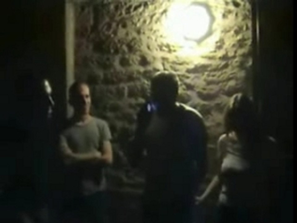 Avez-vous déjà vu la fée fagot...