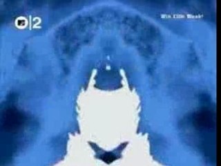 RHCP - The Zephyr Song